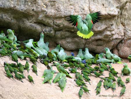 luxury Ecuador tours travel