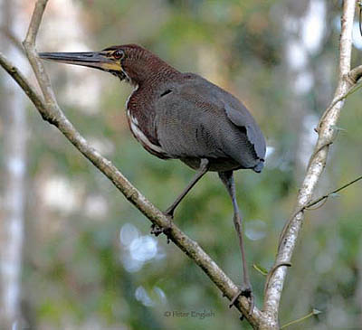 luxury Ecuador tours travel
