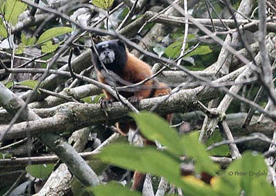 luxury Ecuador tours travel