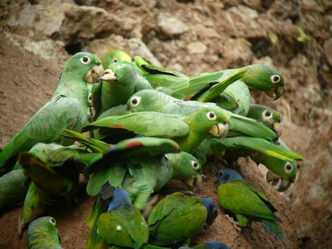 luxury Ecuador tours travel