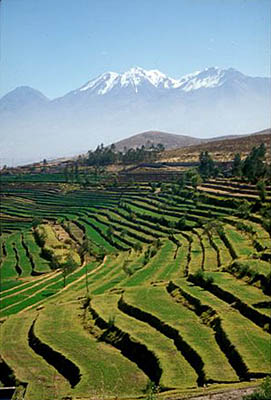 luxury Arequipa Colca Canyon tours travel