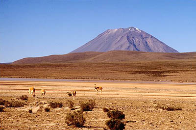 luxury Arequipa Colca Canyon tours travel