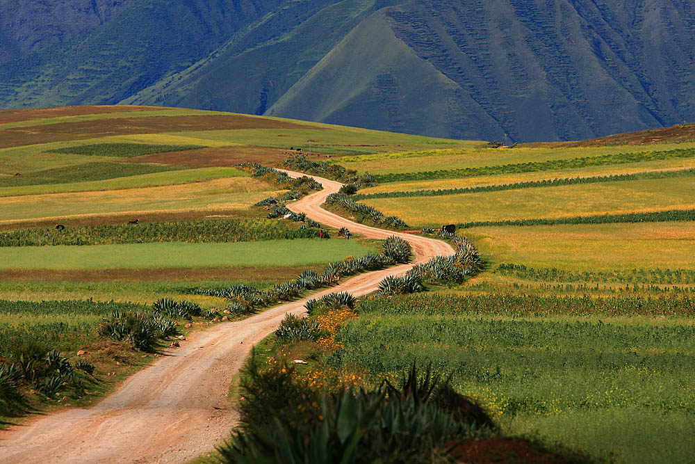 Machu Picchu tours Machu Picchu travel
